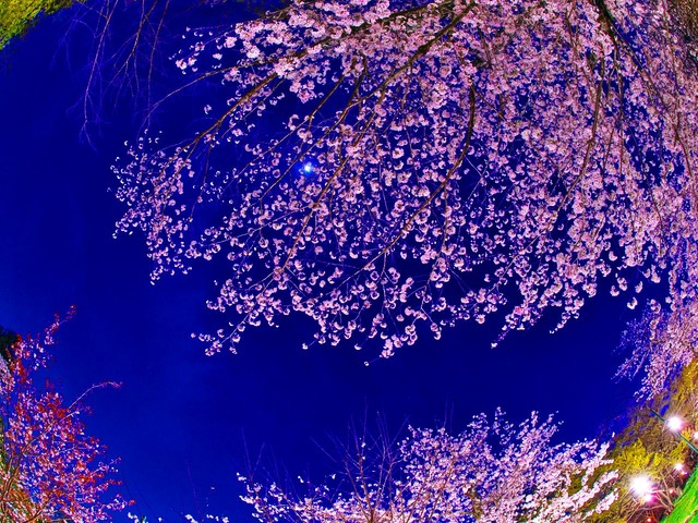 20230330_190044P3304898