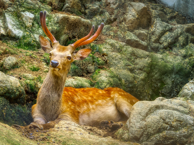 20220626_101416P6262444