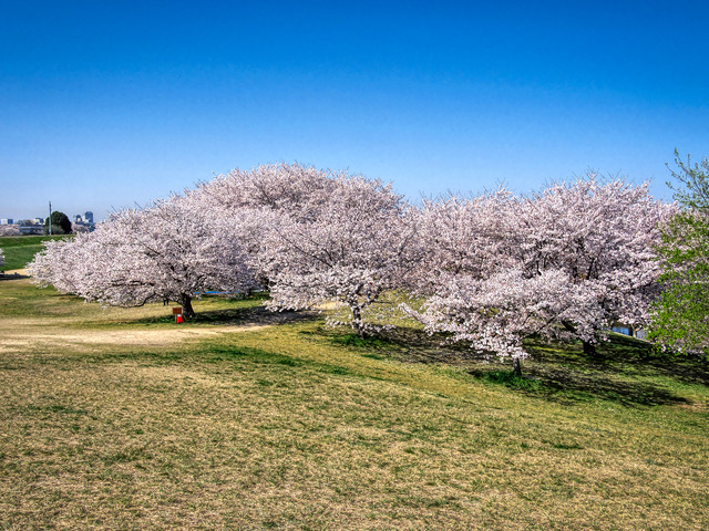 20220405_092300P4054152_9