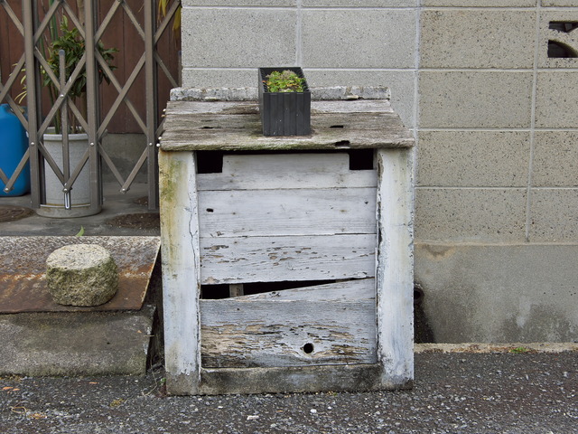 20220220_111019P2201093