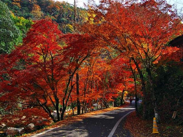 20221119_123556PB190907