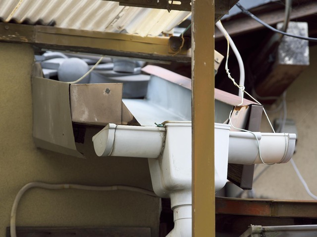 20221008_120717PA080115