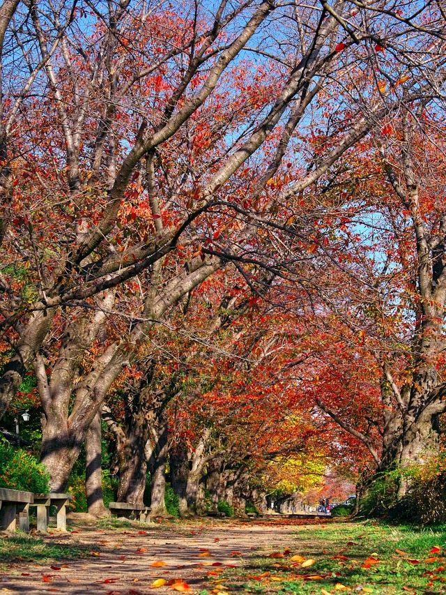 20221120_092204PB200954