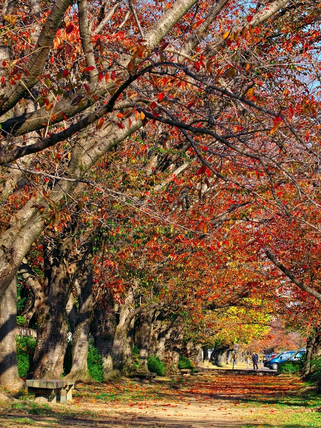 20221120_092116PB203154