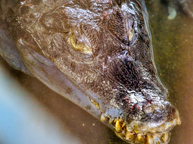 20220626_110729P6262618_3