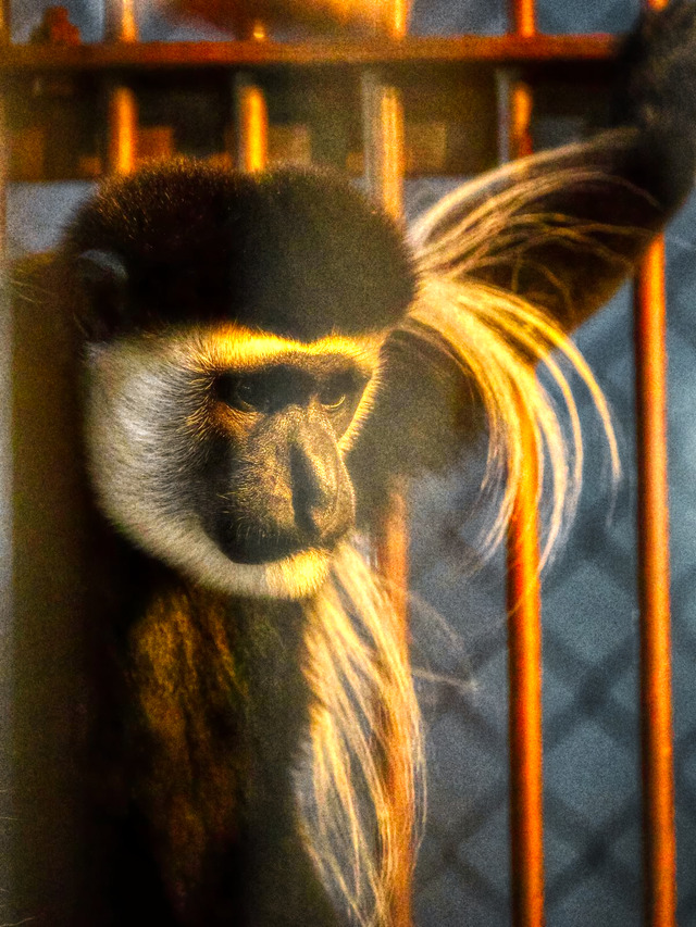 20221008_175814PA080967