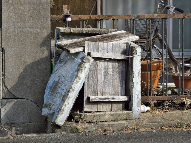 20220220_101747P2200982