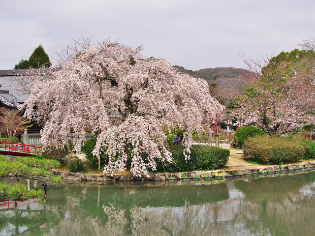 20220330_113009P3300075