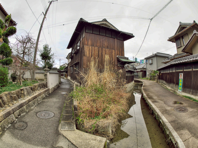 20220320_142419P3202904_373