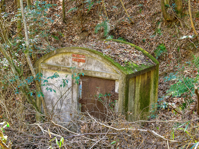 20220403_120230P4034040_36