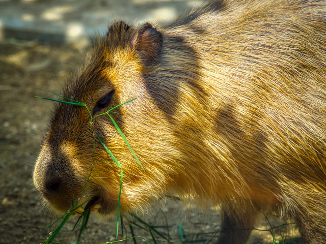 20220626_094847P6262399