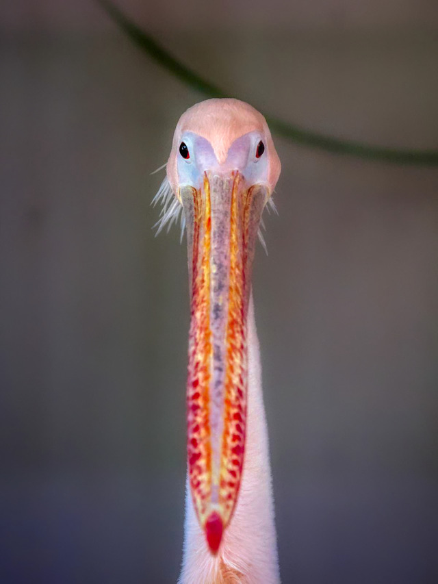 20221008_171003PA080788