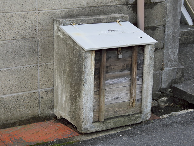 20220220_113030P2201155