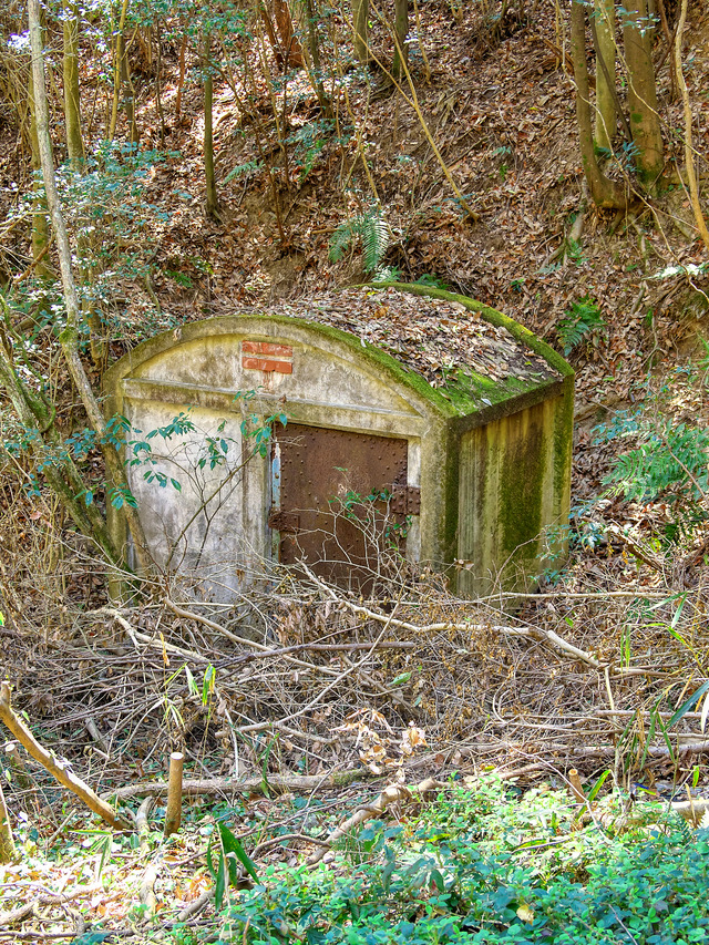 20220403_120235P4034042_37