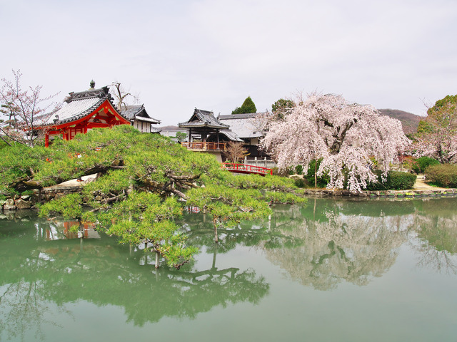 20220330_112950P3300072