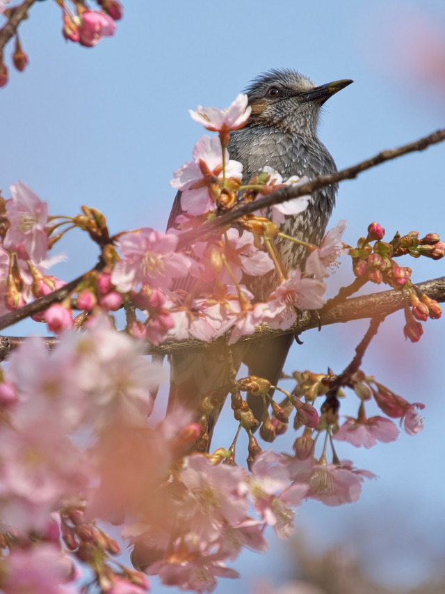 20220308_142331P3081259