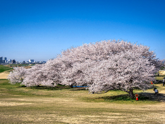 20220405_092340P4054155_12