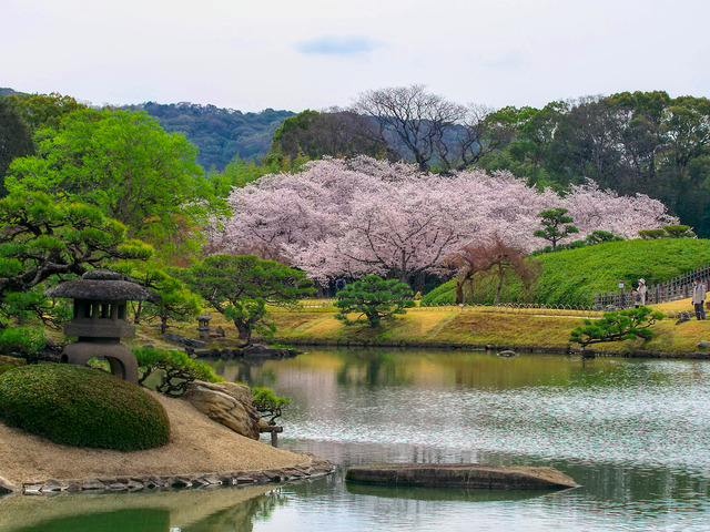 20220402_091803P4020370_19