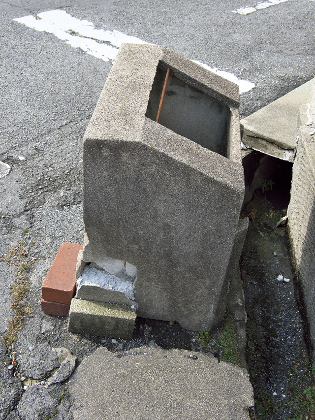 20220220_110604P2201085