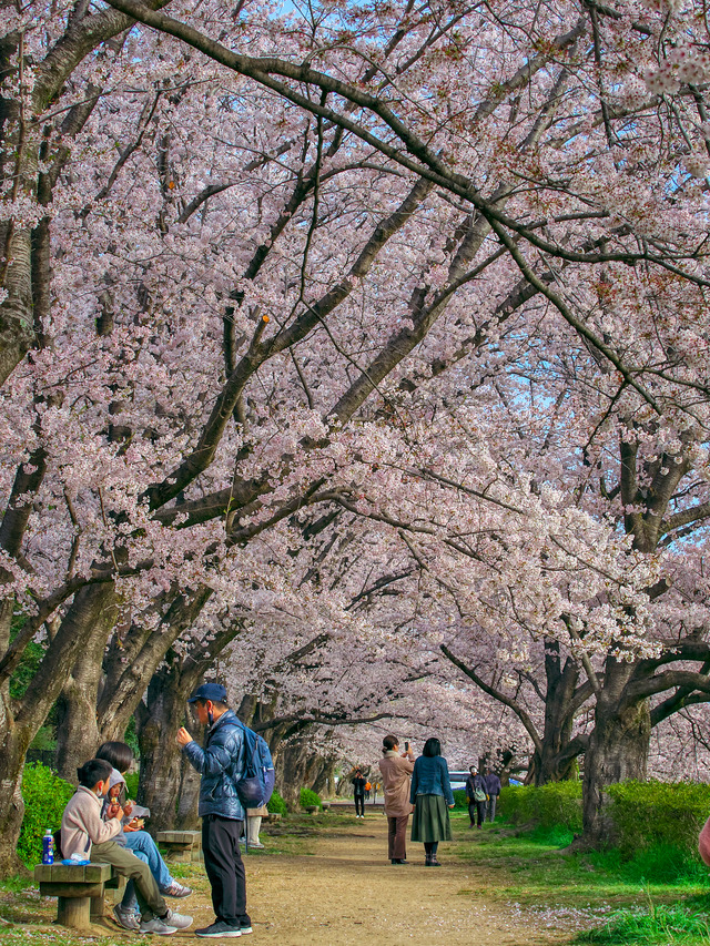 20220402_074550P4020187_3