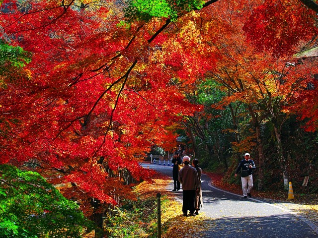 20221119_123457PB193000