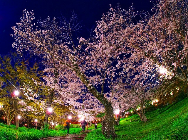 20230330_190524P3304906