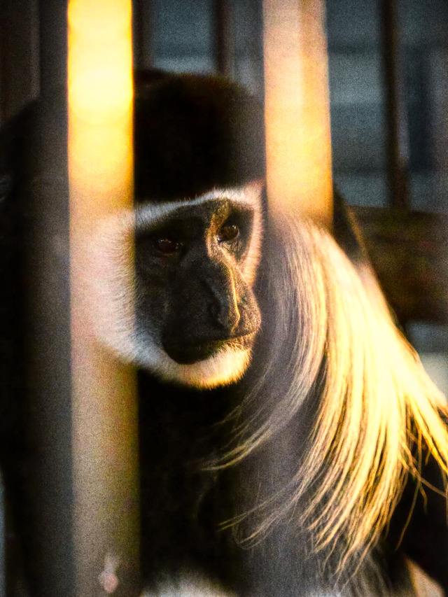 20221008_180544PA080988