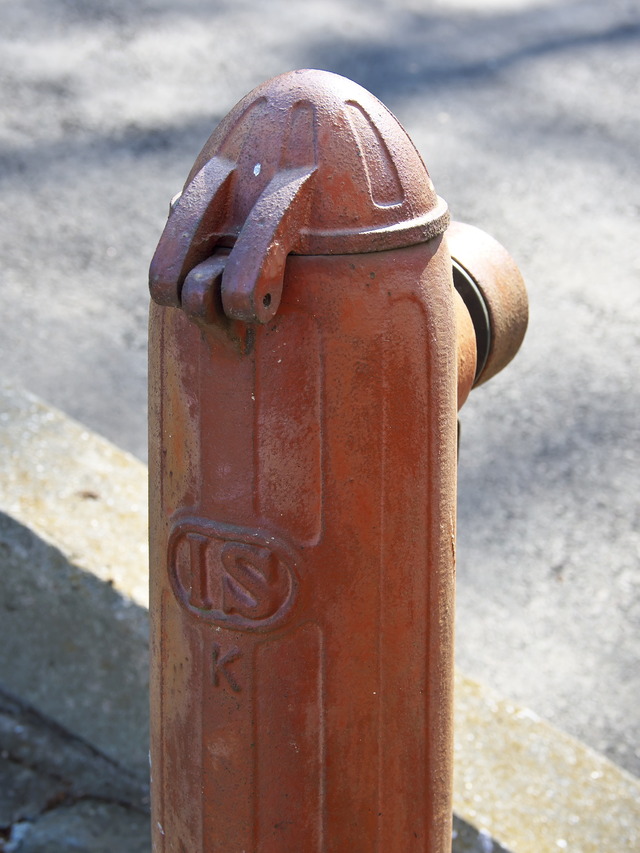 20220210_131031P2100429