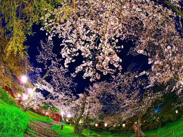 20230330_190740P3304911