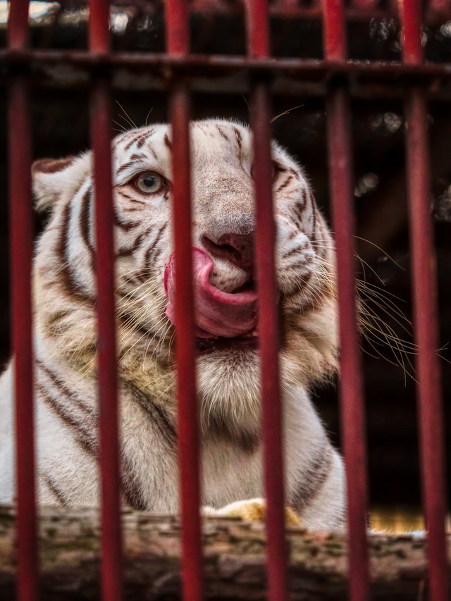 20221008_174426PA080872