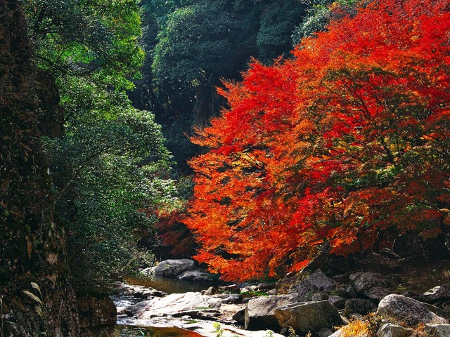 20221119_121921PB190876