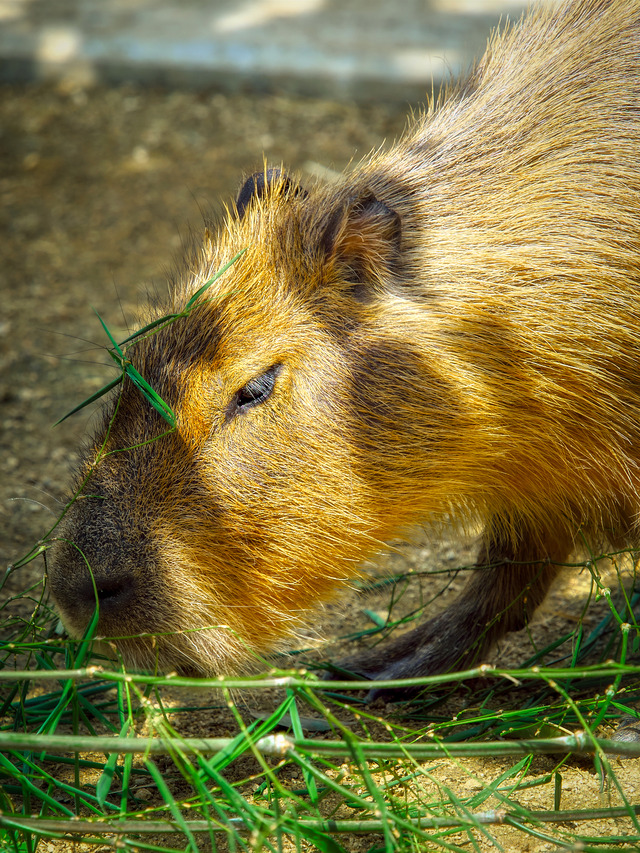 20220626_094833P6262389