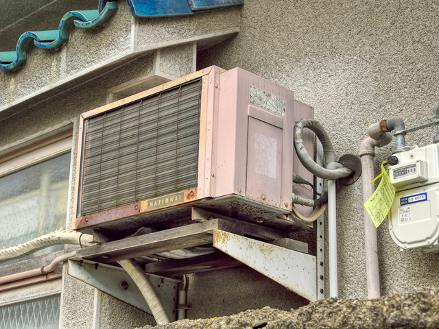 20220320_114526P3201958_44