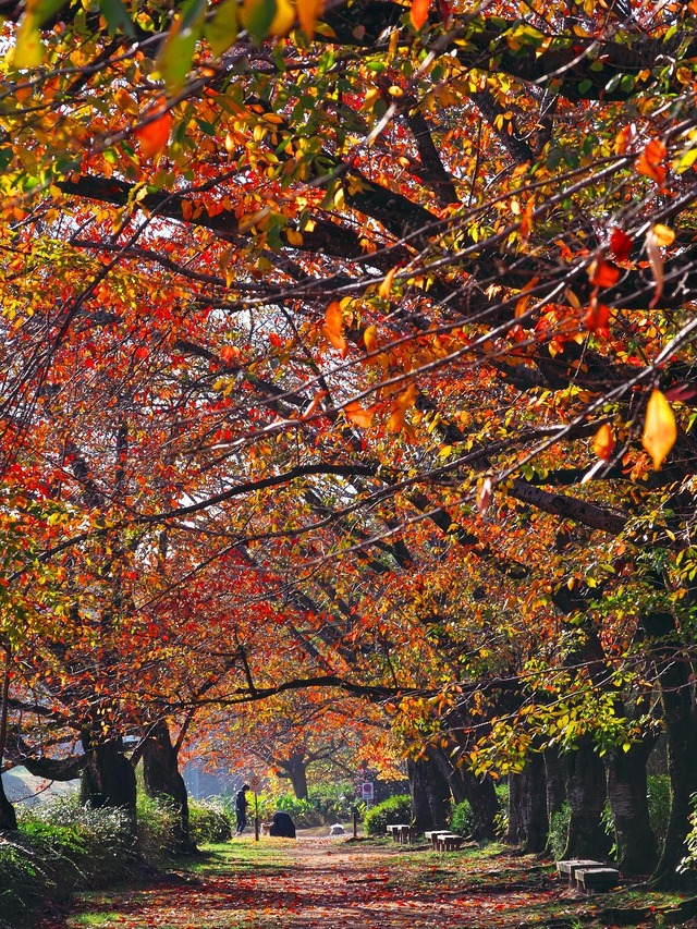 20221120_091809PB200948