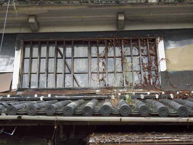 20221008_113130PA080053