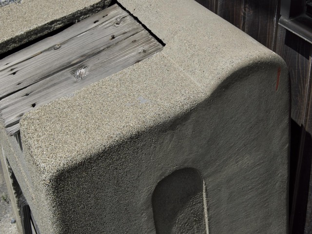 20220422_110048P4224846