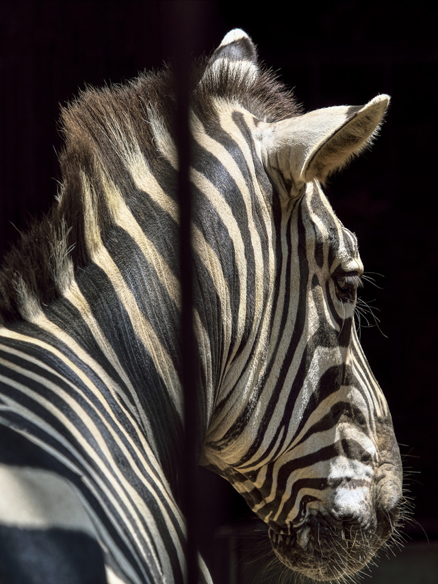 20220626_114058P6262736_8