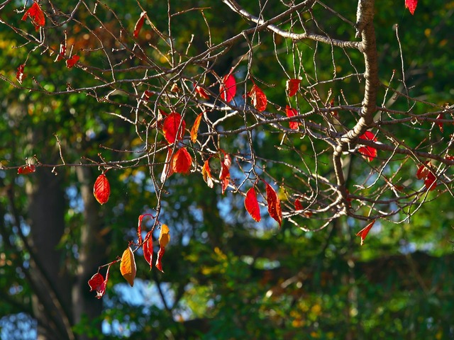 20221120_090744PB203094