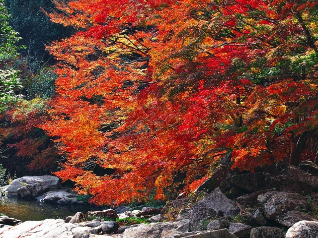 20221119_122123PB192932