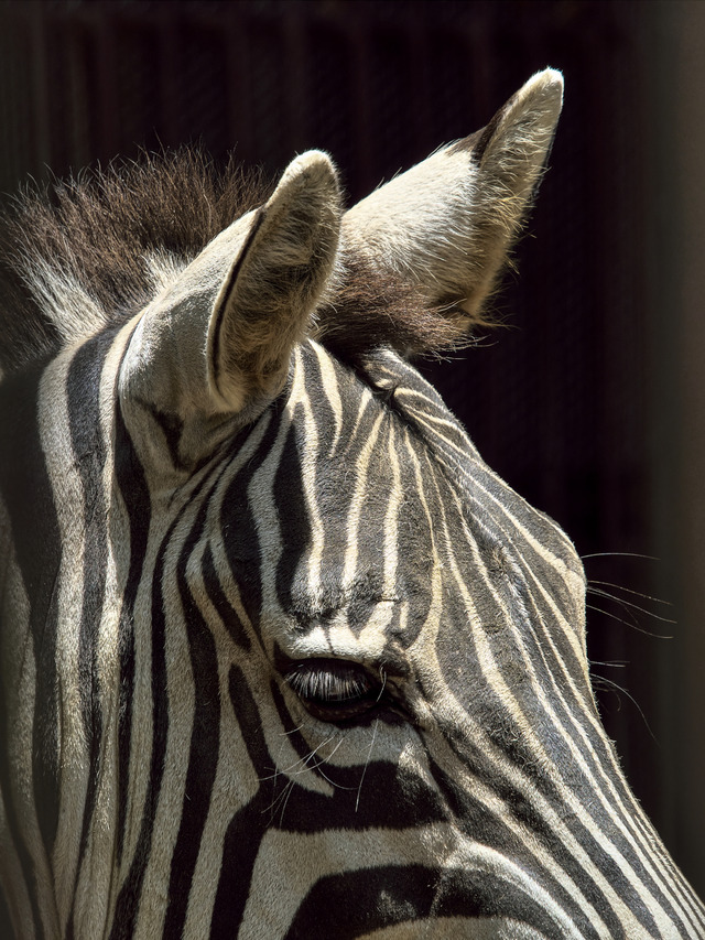 20220626_114033P6262727_7