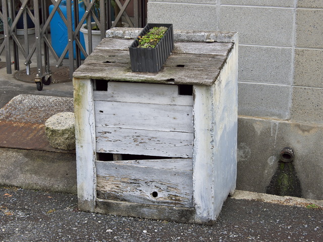 20220220_110949P2201088