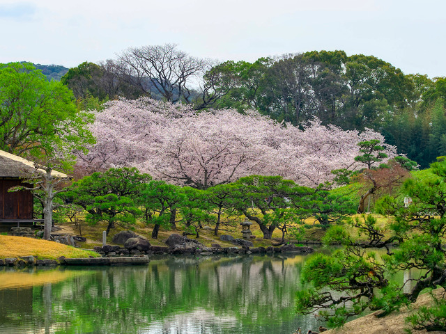 20220402_091829P4020372_21