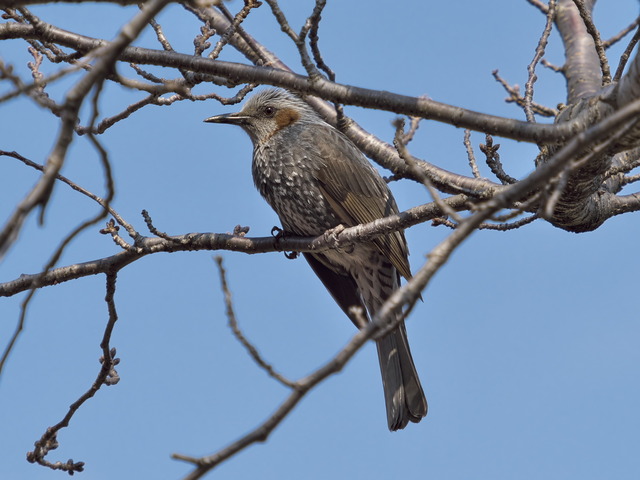 20220308_141917P3081142