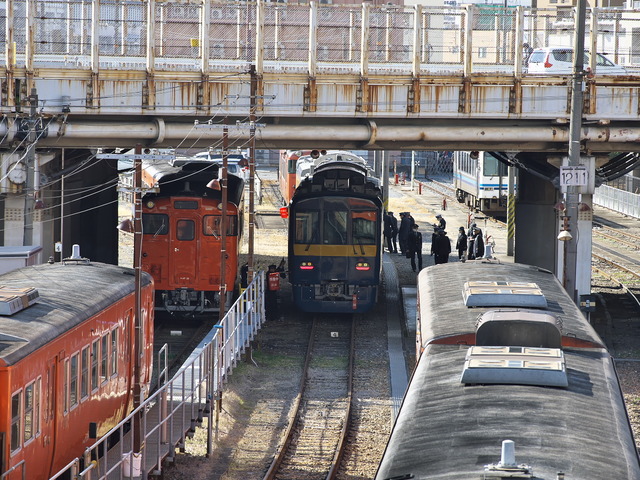 20220206_103112P2060330