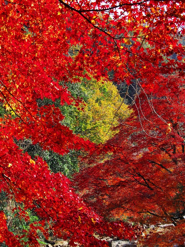 20221119_123534PB190906