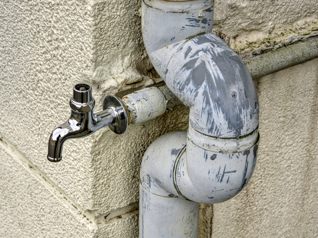 20220320_141356P3202103_362