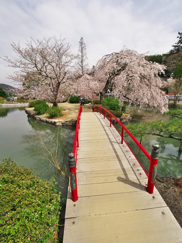 20220330_112723P3303330