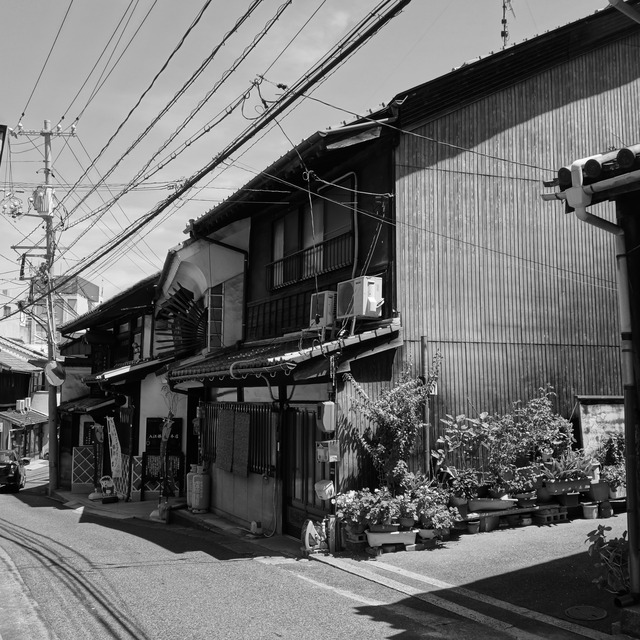 DSC01356