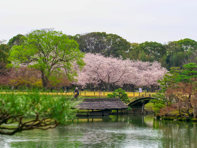 20220402_091922P4020374_22