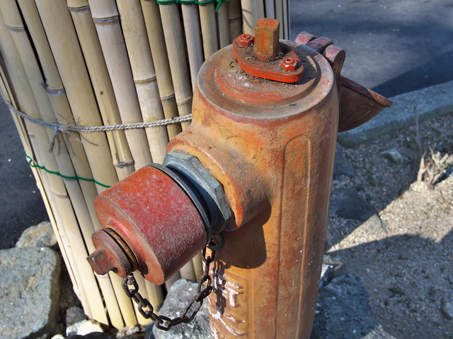 20220210_130951P2100424